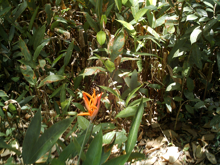 28 - Jardin des eaux 011.jpg